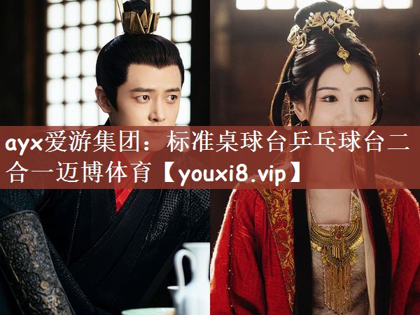 ayx爱游集团：标准桌球台乒乓球台二合一迈博体育