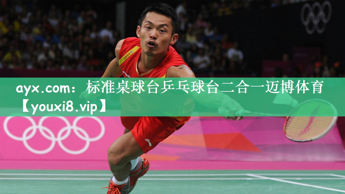 ayx.com：标准桌球台乒乓球台二合一迈博体育