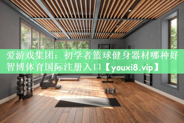 爱游戏集团：初学者篮球健身器材哪种好智博体育国际注册入口