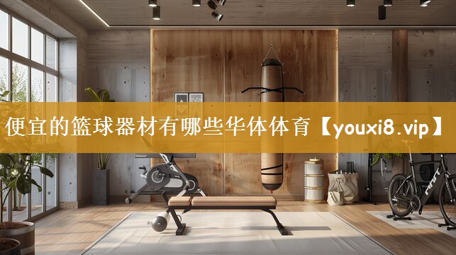 便宜的篮球器材有哪些华体体育