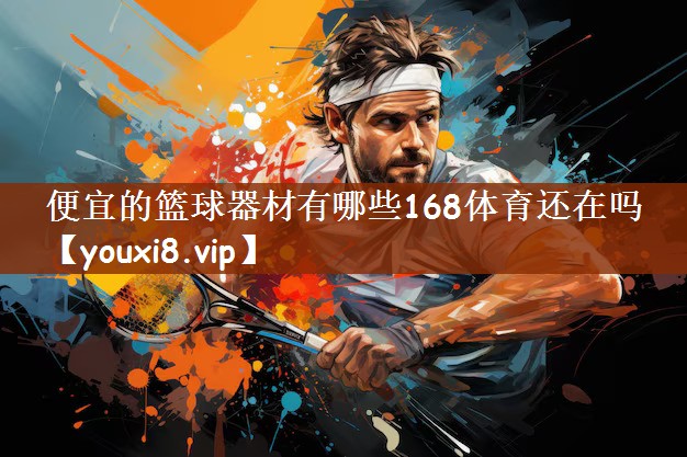 便宜的篮球器材有哪些168体育还在吗