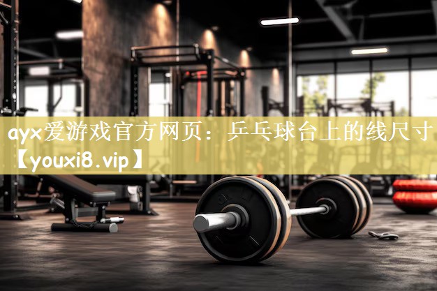 乒乓球台上的线尺寸