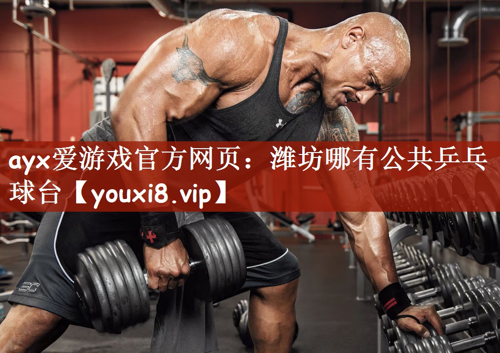 潍坊哪有公共乒乓球台