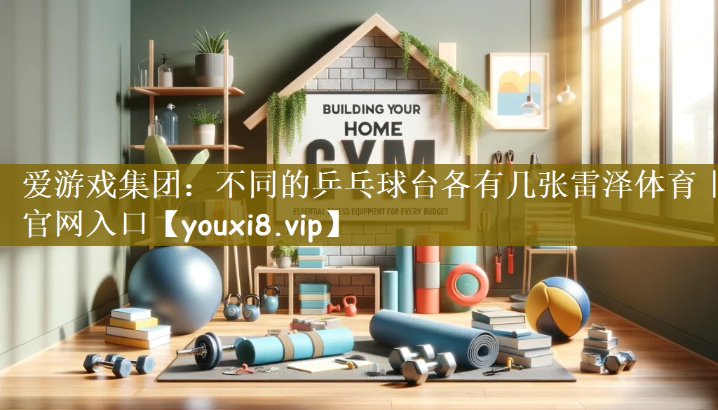 爱游戏集团：不同的乒乓球台各有几张雷泽体育｜官网入口